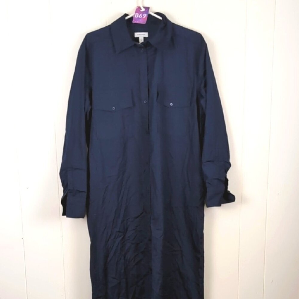 Nordstrom Blue Dress button down long large